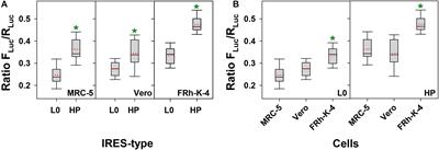 Advances for the Hepatitis A Virus Antigen Production Using a Virus Strain With Codon Frequency Optimization Adjustments in Specific Locations